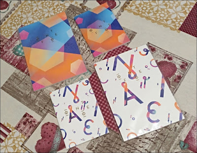 Los cuadernos de Raquel Torres