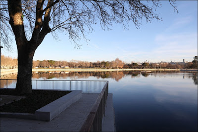 'Bosque R.E.A.L' en la Casa de Campo